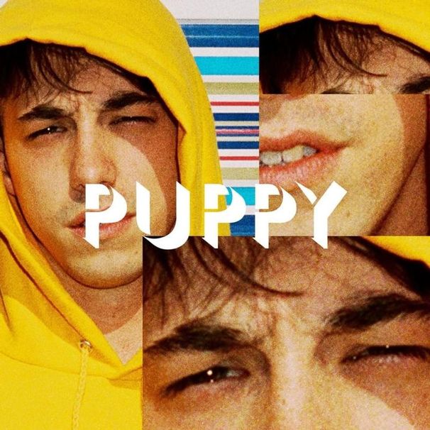 BROCKHAMPTON - PUPPY (Snippet 2) - Tekst piosenki, lyrics - teksciki.pl