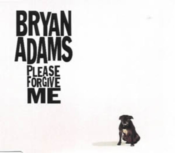 Bryan Adams - Please Forgive Me - Tekst piosenki, lyrics - teksciki.pl