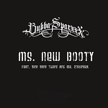 Bubba Sparxxx - Ms. New Booty - Tekst piosenki, lyrics - teksciki.pl