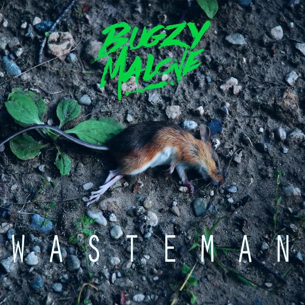 Bugzy Malone - Wasteman - Tekst piosenki, lyrics - teksciki.pl