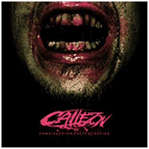 Callejon - Infiziert - Tekst piosenki, lyrics - teksciki.pl