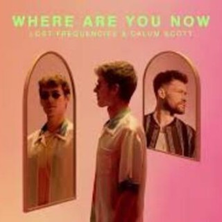 Calum Scott - Calum Scott , Lost Frequencies - Where Are You Now - Tekst piosenki, lyrics - teksciki.pl