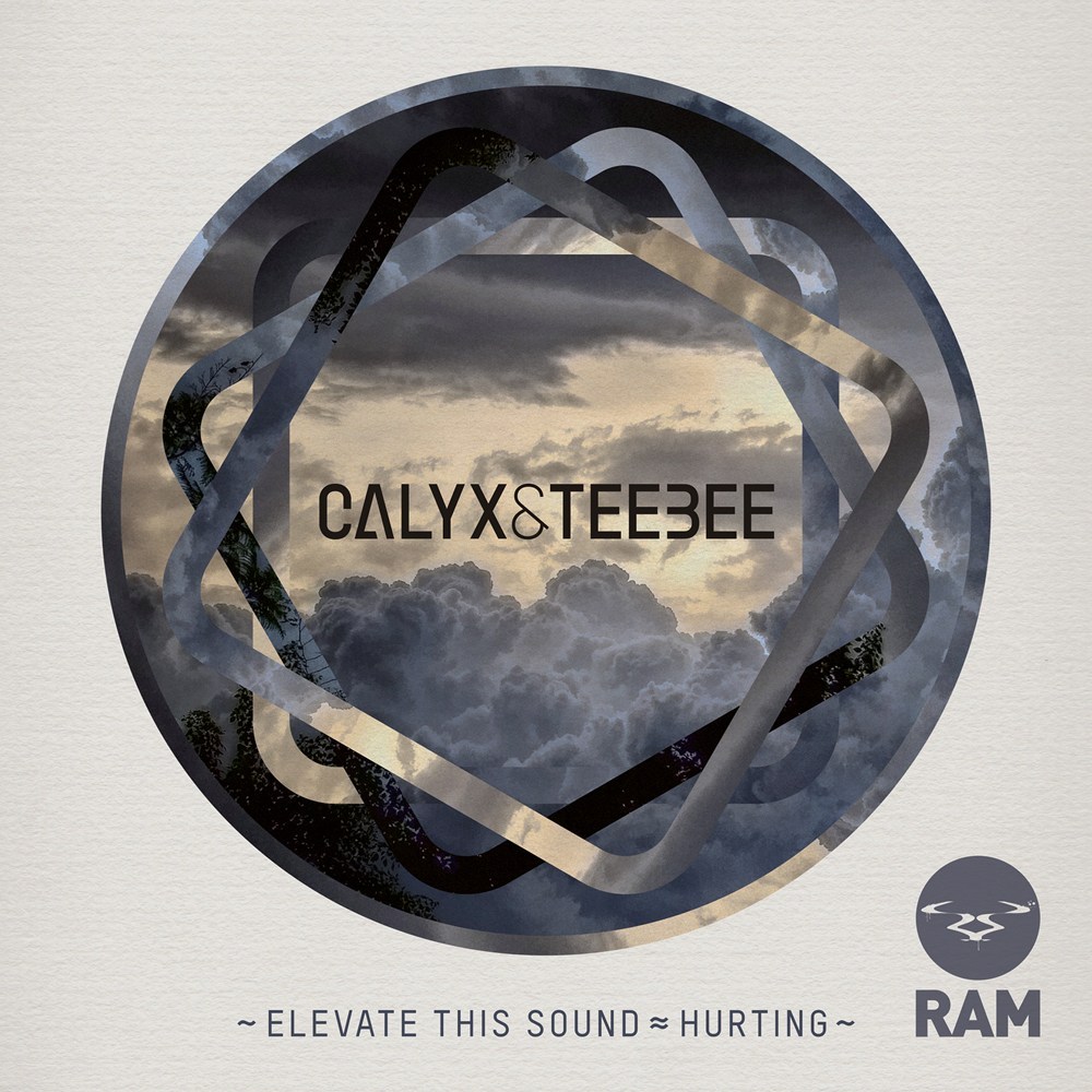 Calyx & TeeBee - Hurting - Tekst piosenki, lyrics - teksciki.pl