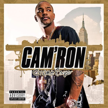 Cam'ron - Bottom of the Pussy - Tekst piosenki, lyrics - teksciki.pl