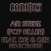 Canibus - Airstrike [Pop Killer] - Tekst piosenki, lyrics - teksciki.pl