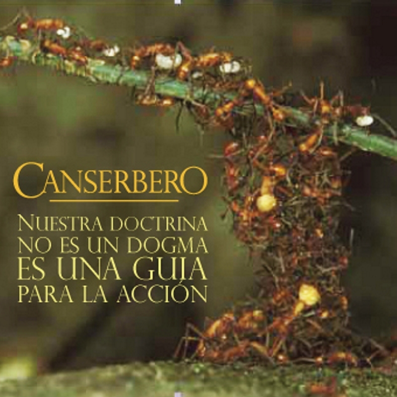 Canserbero - Advertencia - Tekst piosenki, lyrics - teksciki.pl