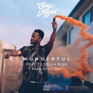 Casey Veggies - Wonderful - Tekst piosenki, lyrics - teksciki.pl