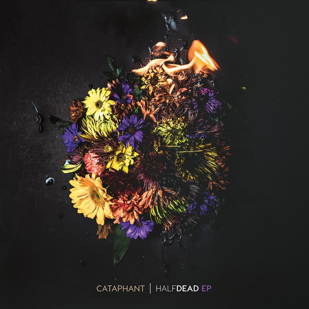 Cataphant - Half Dead - Tekst piosenki, lyrics - teksciki.pl