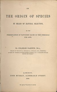 Charles Darwin - Chapter 8: Hybridism - Tekst piosenki, lyrics - teksciki.pl