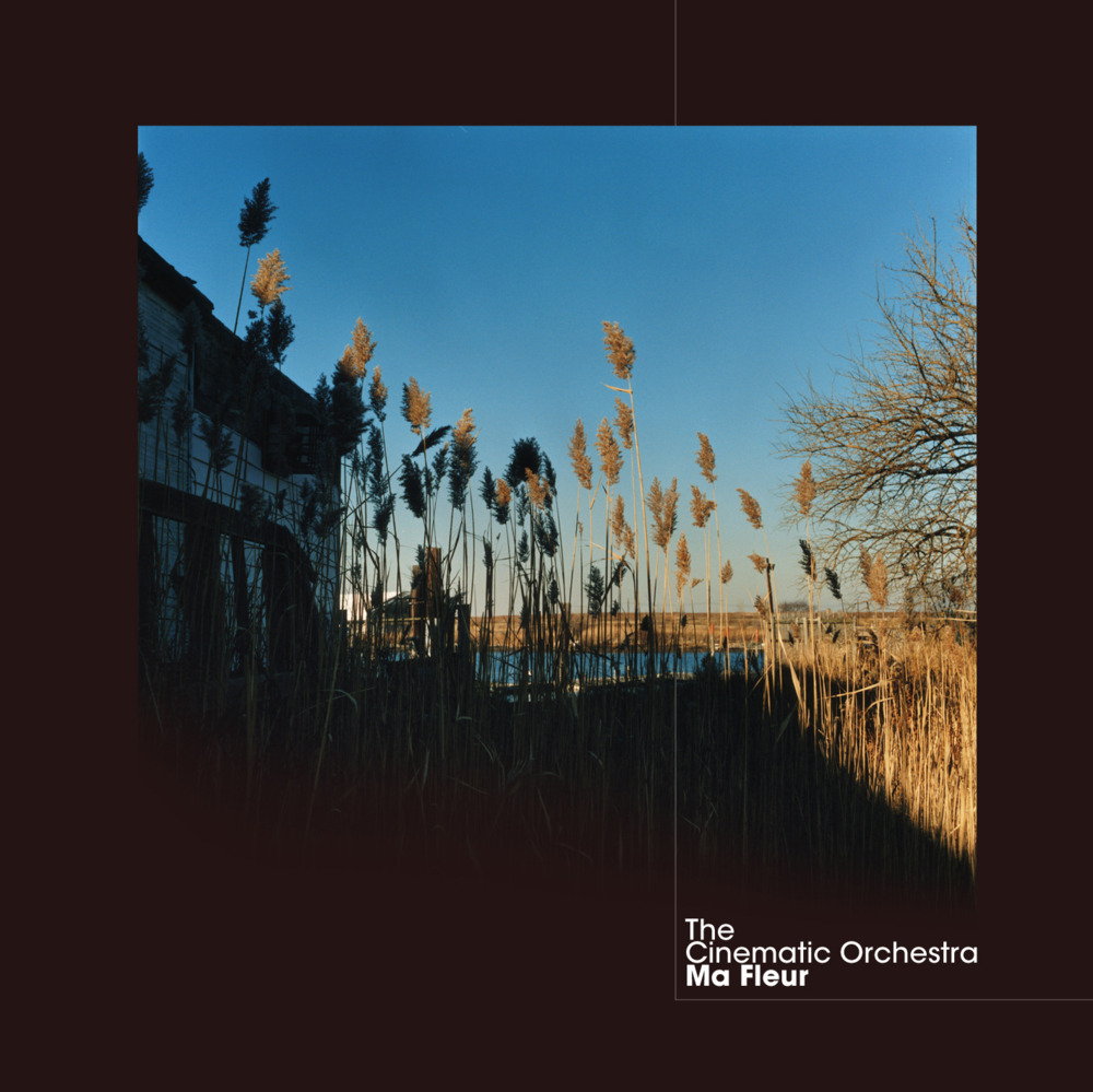 Cinematic Orchaestra - To Build A Home - Tekst piosenki, lyrics - teksciki.pl