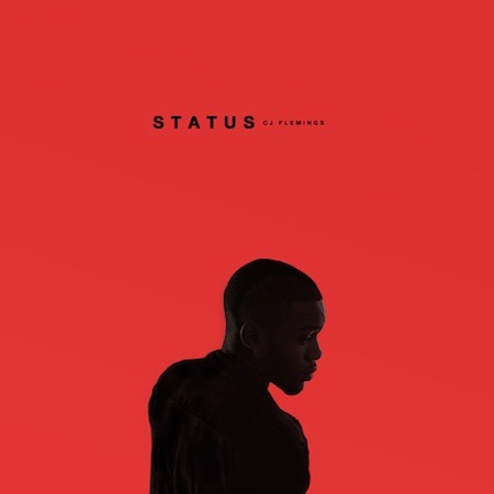 CJ Flemings - Status - Tekst piosenki, lyrics - teksciki.pl