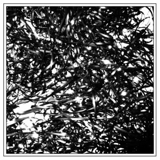 Clipping. - Bout.that (Ft. Baseck) - Tekst piosenki, lyrics - teksciki.pl