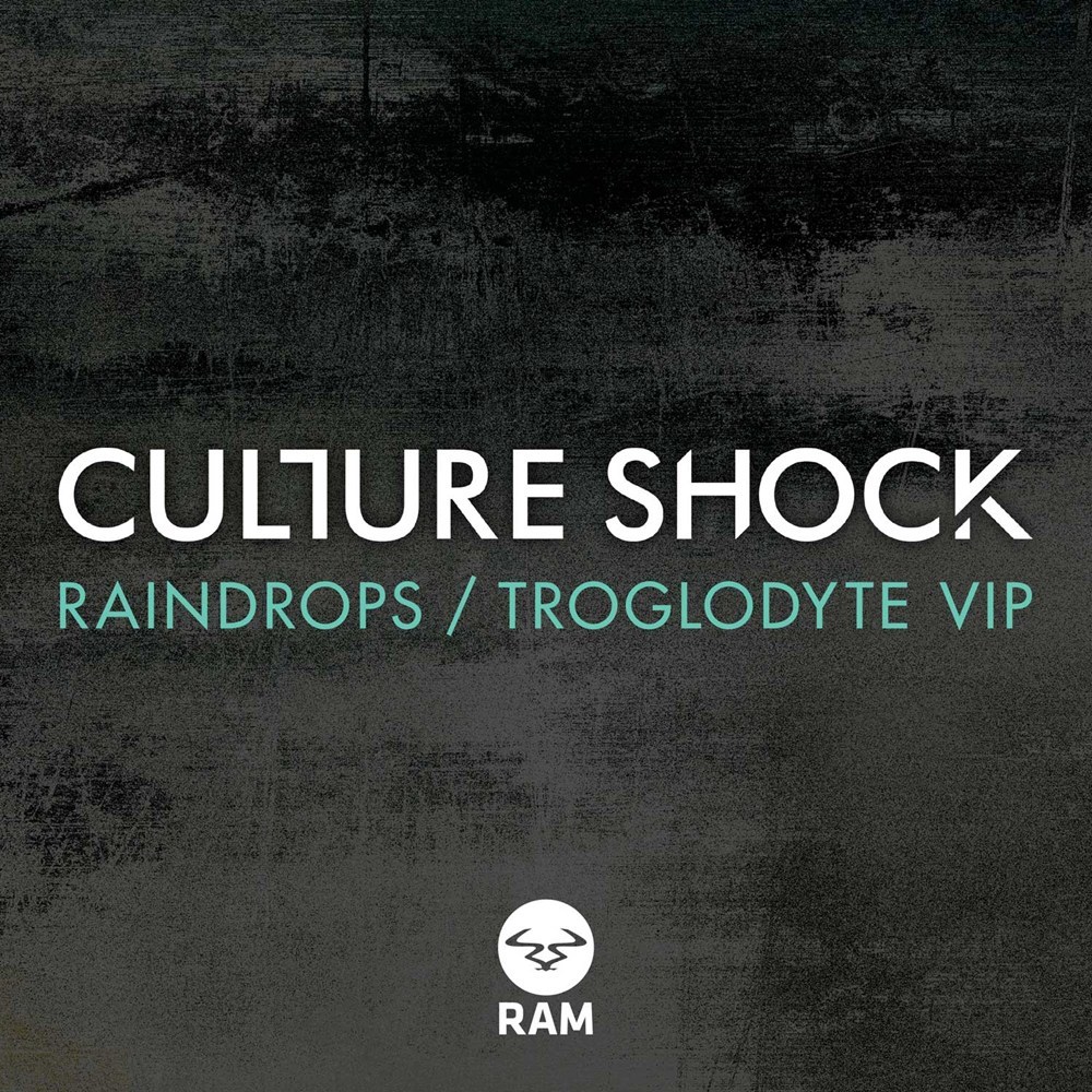 Culture Shock - Raindrops - Tekst piosenki, lyrics - teksciki.pl
