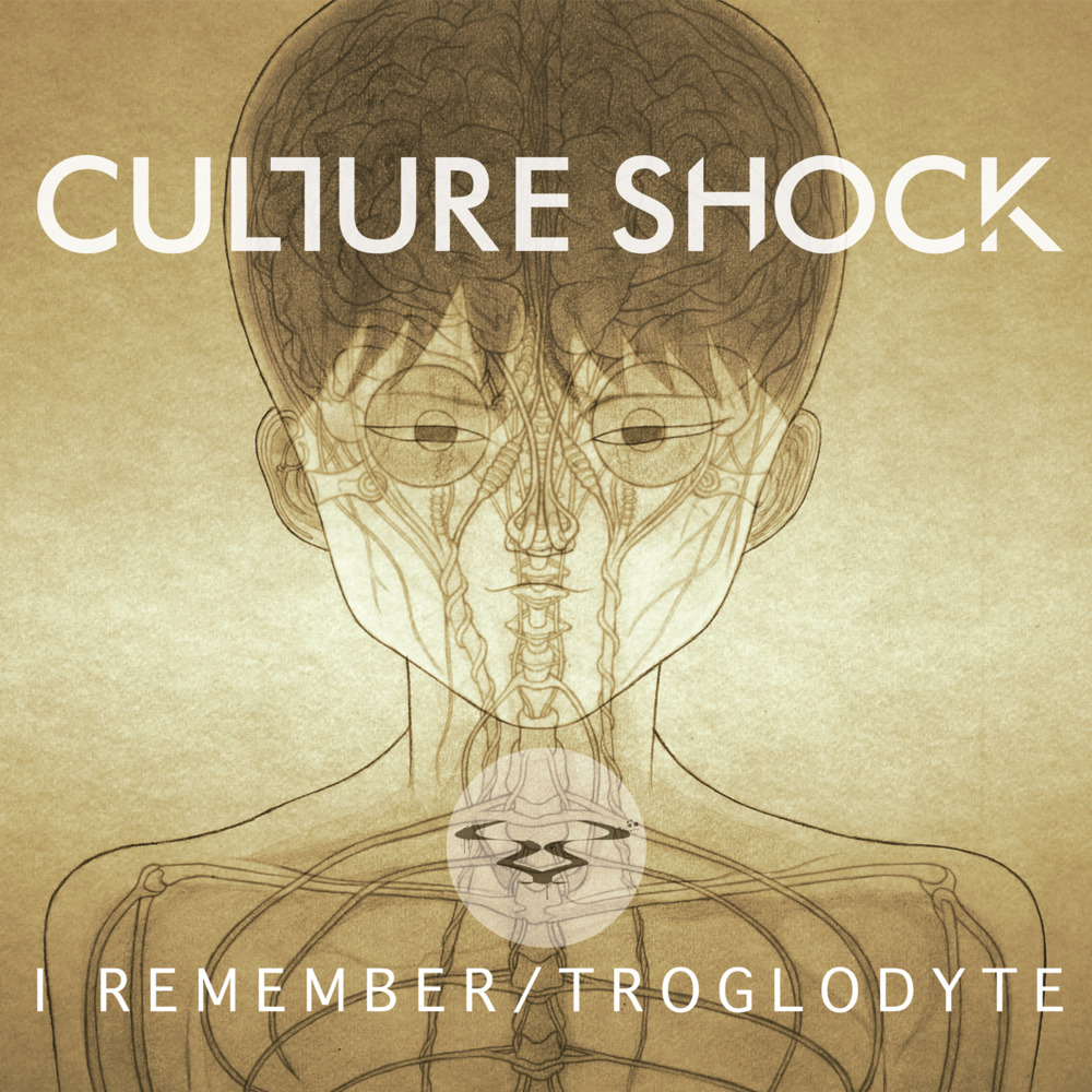 Culture Shock - Troglodyte - Tekst piosenki, lyrics - teksciki.pl