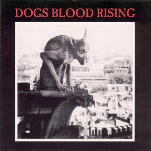 Current 93 - Falling Back in Fields of Rape - Tekst piosenki, lyrics - teksciki.pl