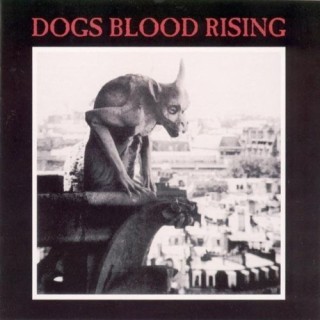 Current 93 - Raio No Terrasu (Jesus Wept) - Tekst piosenki, lyrics - teksciki.pl