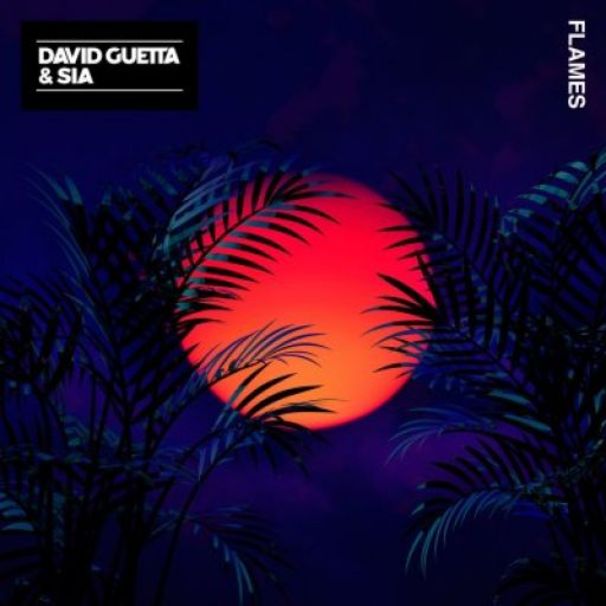 David Guetta - David Guetta feat. Sia - Flames - Tekst piosenki, lyrics - teksciki.pl