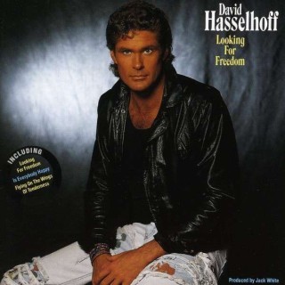 David Hasselhoff - Looking For Freedom - Tekst piosenki, lyrics - teksciki.pl