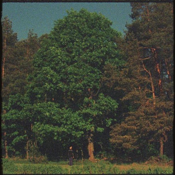 Dawid Podsiadło - Dżins - Tekst piosenki, lyrics - teksciki.pl