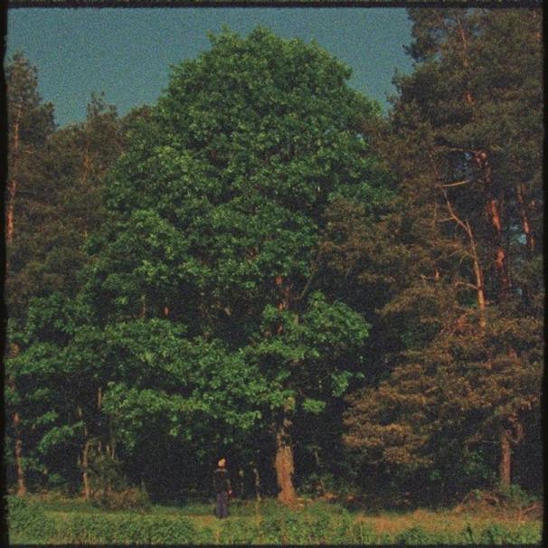 Dawid Podsiadło - Małomiasteczkowy - Tekst piosenki, lyrics - teksciki.pl