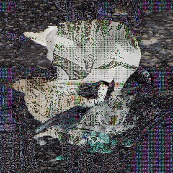 Death Grips - Death Grips (Next Grips) - Tekst piosenki, lyrics - teksciki.pl