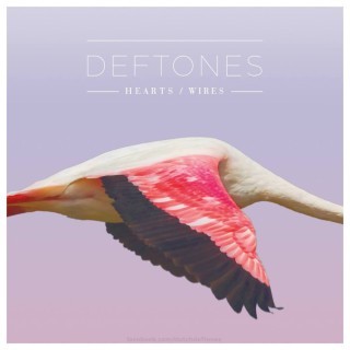 Deftones - Hearts/Wires - Tekst piosenki, lyrics - teksciki.pl