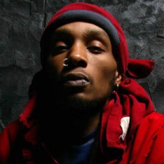 Del the Funky Homosapien - Descending - Tekst piosenki, lyrics - teksciki.pl