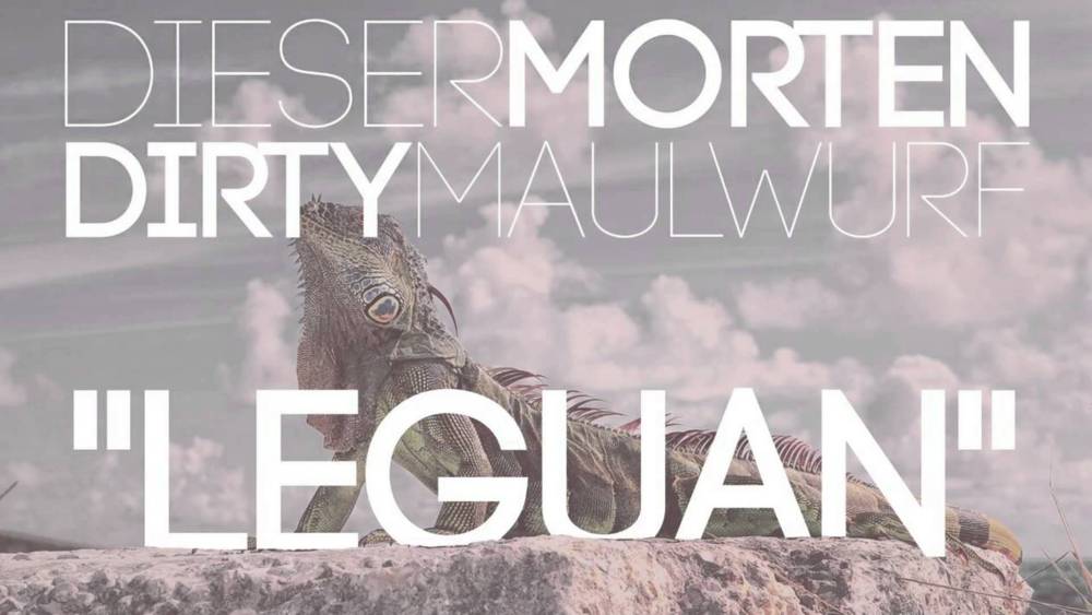Dirty Maulwurf - Leguan - Tekst piosenki, lyrics - teksciki.pl