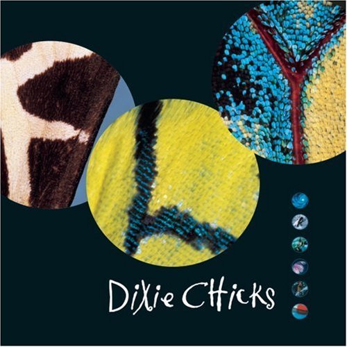Dixie Chicks - Cold Day in July - Tekst piosenki, lyrics - teksciki.pl