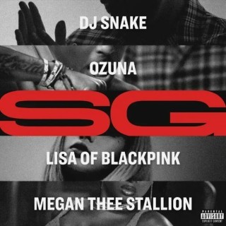 DJ Snake - DJ Snake , Ozuna , Megan Thee Stallion , LISA (BLACKPINK) - SG - Tekst piosenki, lyrics - teksciki.pl
