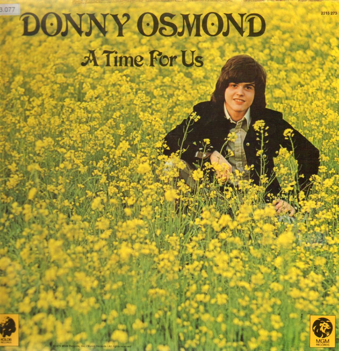 Donny Osmond - A Million To One - Tekst piosenki, lyrics - teksciki.pl