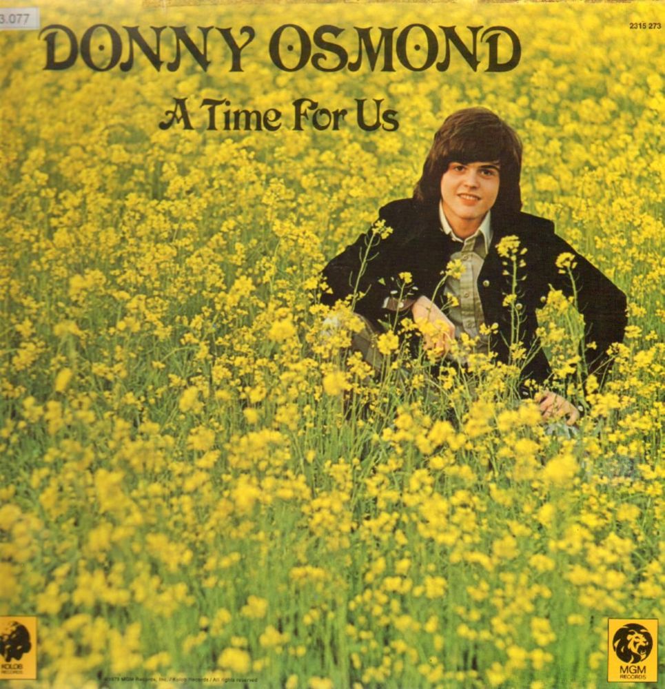 Donny Osmond - Are You Lonesome Tonight - Tekst piosenki, lyrics - teksciki.pl