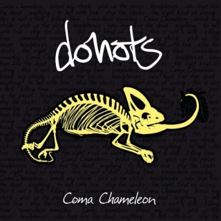 Donots - Break my Stride - Tekst piosenki, lyrics - teksciki.pl