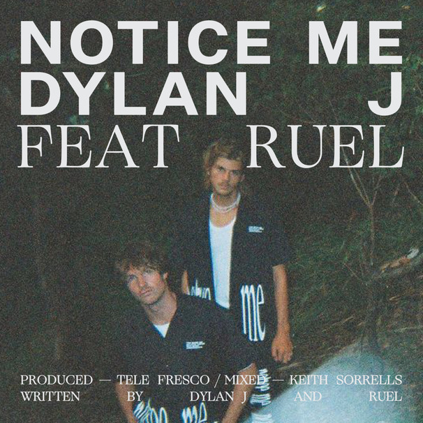 Dylan Joel - Dylan Joel feat. Ruel - Notice Me - Tekst piosenki, lyrics - teksciki.pl