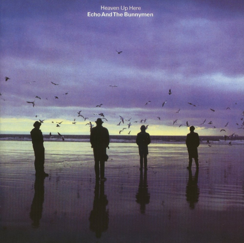 Echo and the Bunnymen - The Disease - Tekst piosenki, lyrics - teksciki.pl