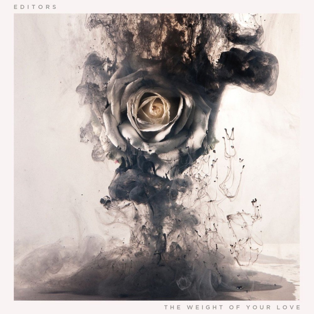 Editors - Bird Of Prey - Tekst piosenki, lyrics - teksciki.pl