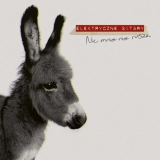 Elektryczne Gitary - Ostatni raz - Tekst piosenki, lyrics - teksciki.pl