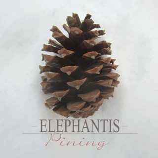Elephantis - Wounded Doves - Tekst piosenki, lyrics - teksciki.pl