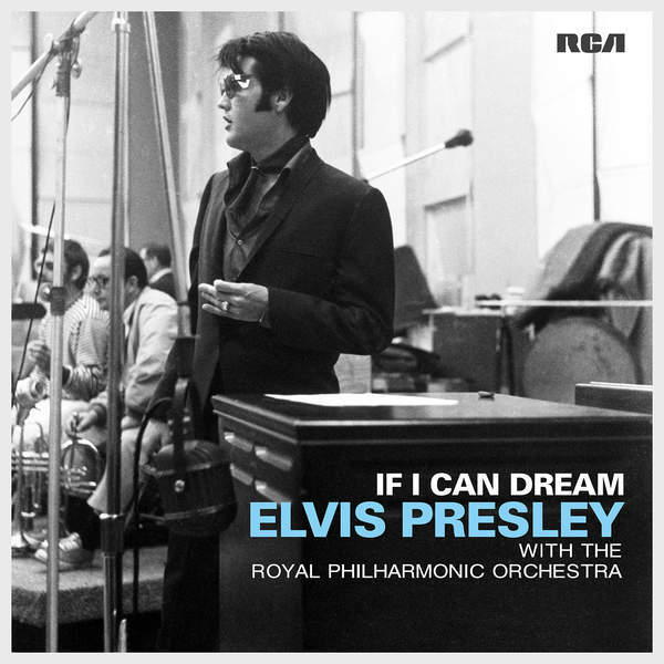 Elvis Presley - And The Grass Won't Pay No Mind - Tekst piosenki, lyrics - teksciki.pl