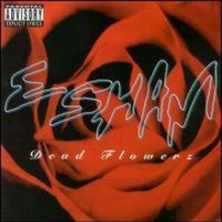 Esham - Any Style You Want - Tekst piosenki, lyrics - teksciki.pl