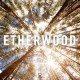 Etherwood - Begin By Letting Go - Tekst piosenki, lyrics - teksciki.pl