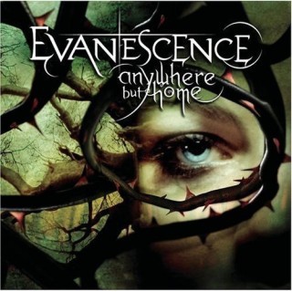 Evanescence - Taking Over Me - Tekst piosenki, lyrics - teksciki.pl