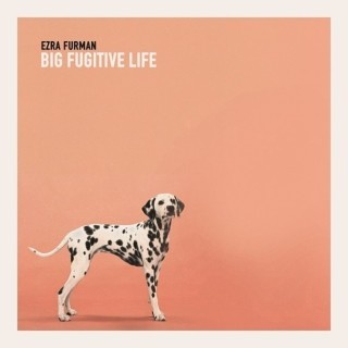 Ezra Furman - Little Piece Of Trash - Tekst piosenki, lyrics - teksciki.pl