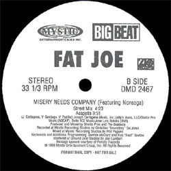 Fat Joe - Misery Needs Company - Tekst piosenki, lyrics - teksciki.pl