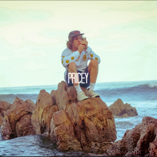 Felly - Pricey - Tekst piosenki, lyrics - teksciki.pl