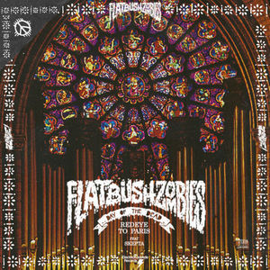 Flatbush Zombies - RedEye to Paris - Tekst piosenki, lyrics - teksciki.pl