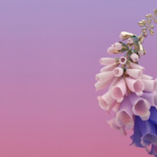 Flume - Never Be Like You - Tekst piosenki, lyrics - teksciki.pl