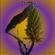 Flume - Say It - Tekst piosenki, lyrics - teksciki.pl
