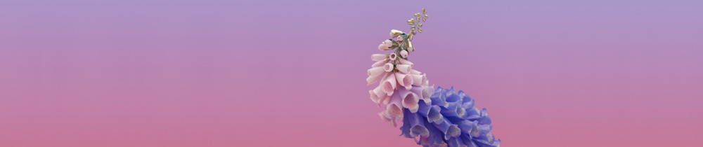 Flume - Smoke & Retribution - Tekst piosenki, lyrics - teksciki.pl