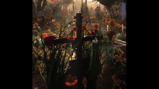 Foals - The Runner - Tekst piosenki, lyrics - teksciki.pl